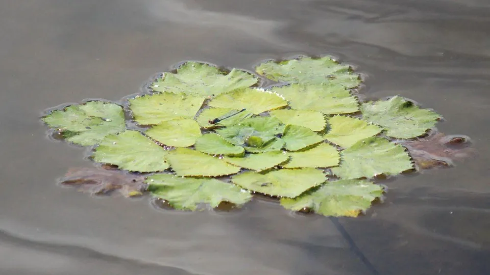 Фото: Мария Аргир