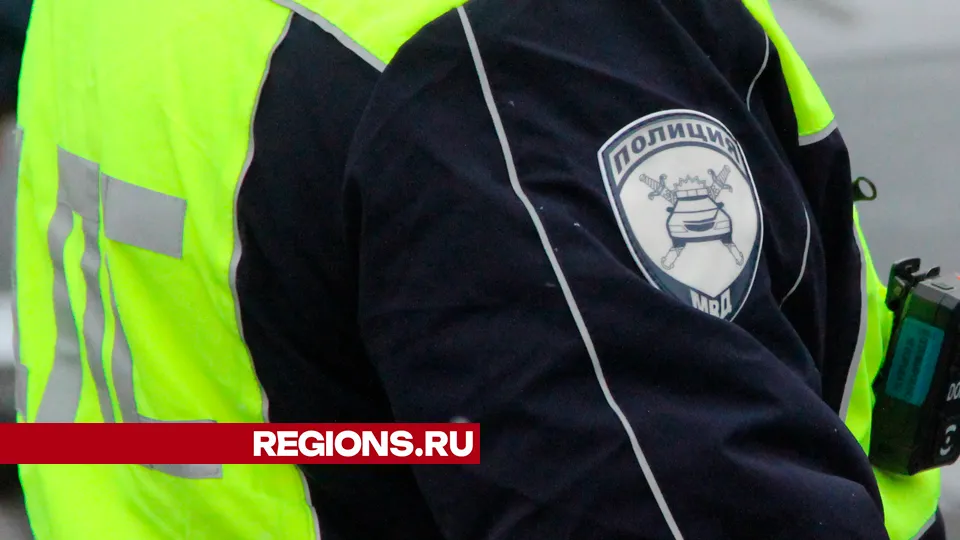 Фото: REGIONS/Василий Тремасов