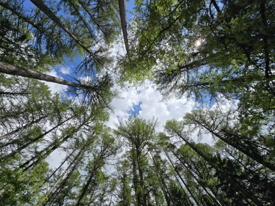 Фото: МедиаБанк Подмосковья/Яна Шаливская