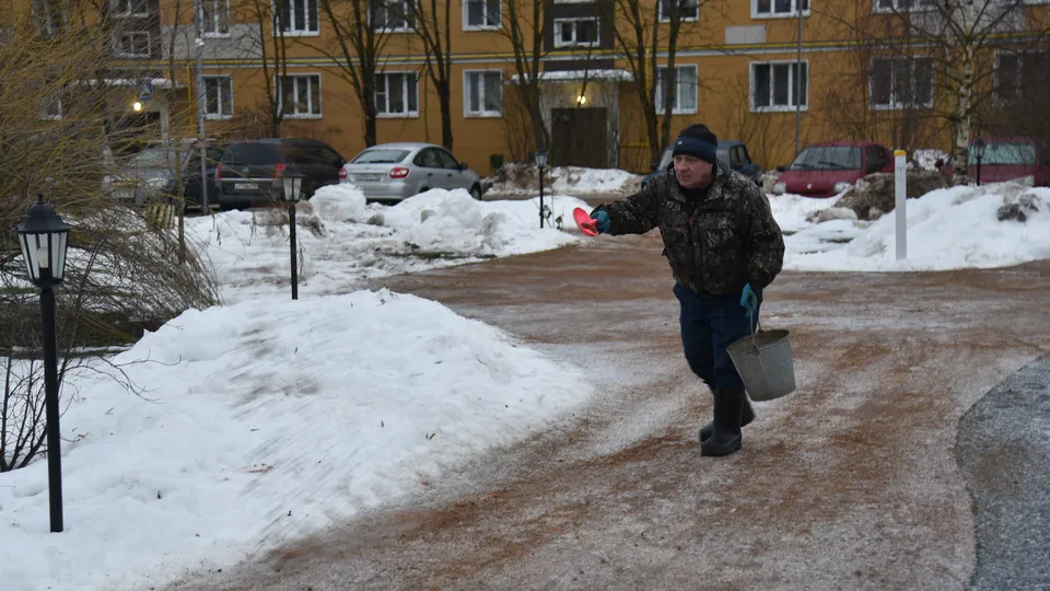 Фото: МедиаБанк Подмосковья/Владимир Останин