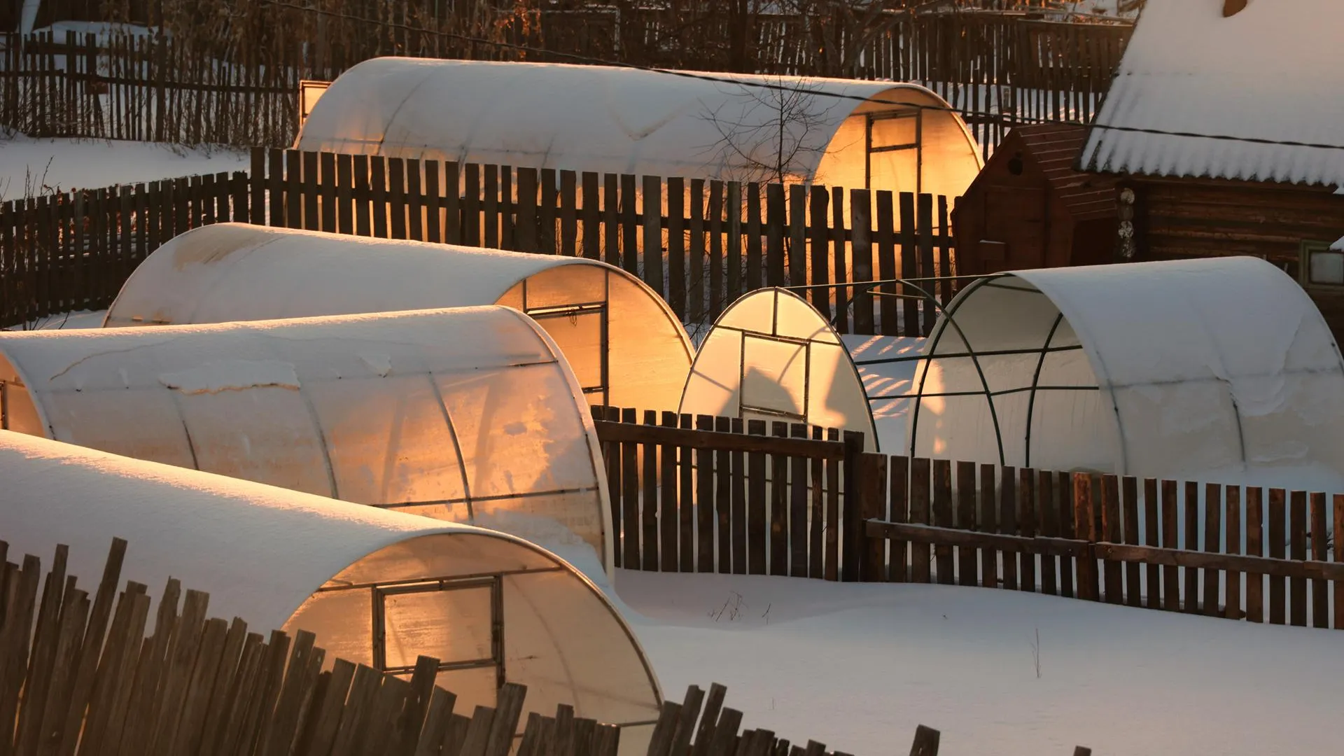 Ekaterina Sychkova/URA.RU/Global Look Press