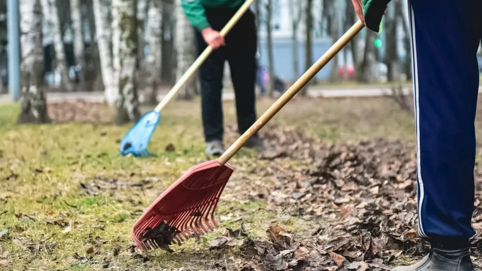 Фото: Министерство благоустройства Московской области