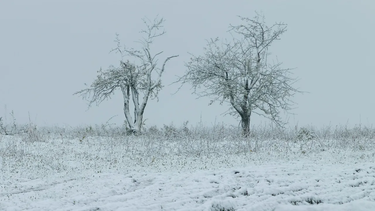 REGIONS/Евгений Мазепов