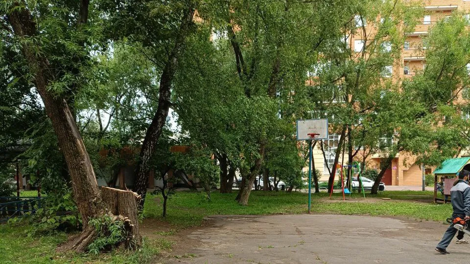 Фото: пресс-служба администрации Одинцовского г.о.