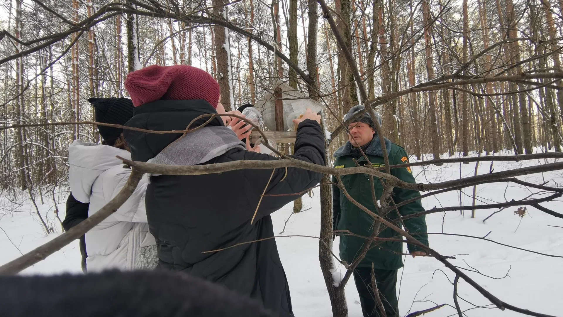 Комитет лесного хозяйства Московской области