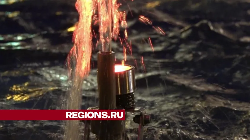 Фото: Дарья Леонова