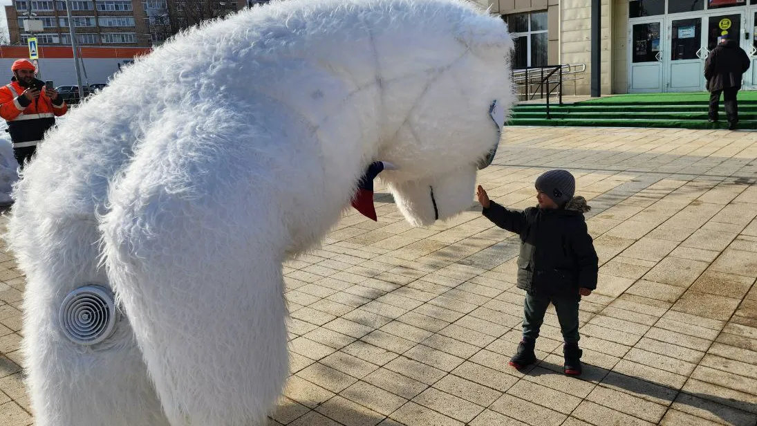 Источник: Катарина Данилина