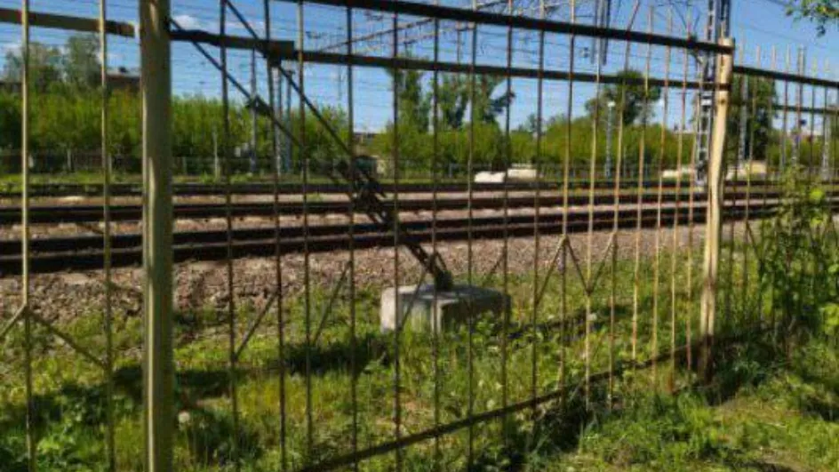 Фото: Минтранс Подмосковья