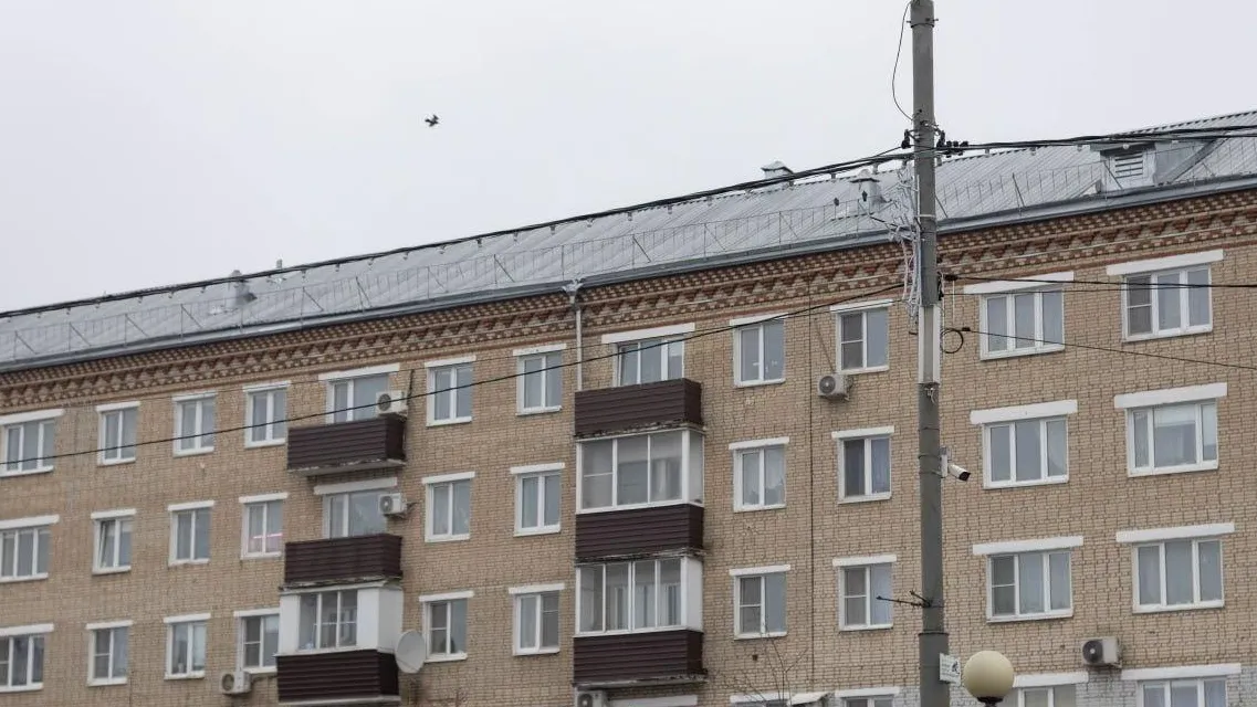 Фото: пресс-служба администрации Сергиево-Посадского г.о.