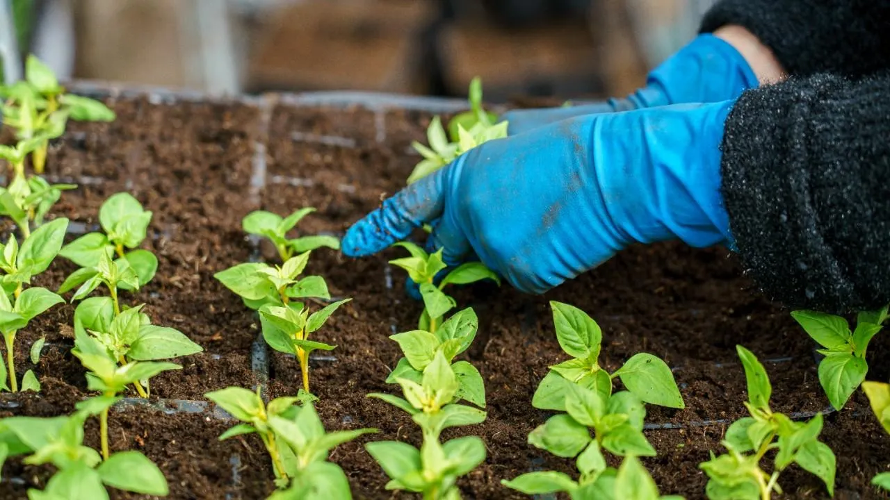 медиасток.рф