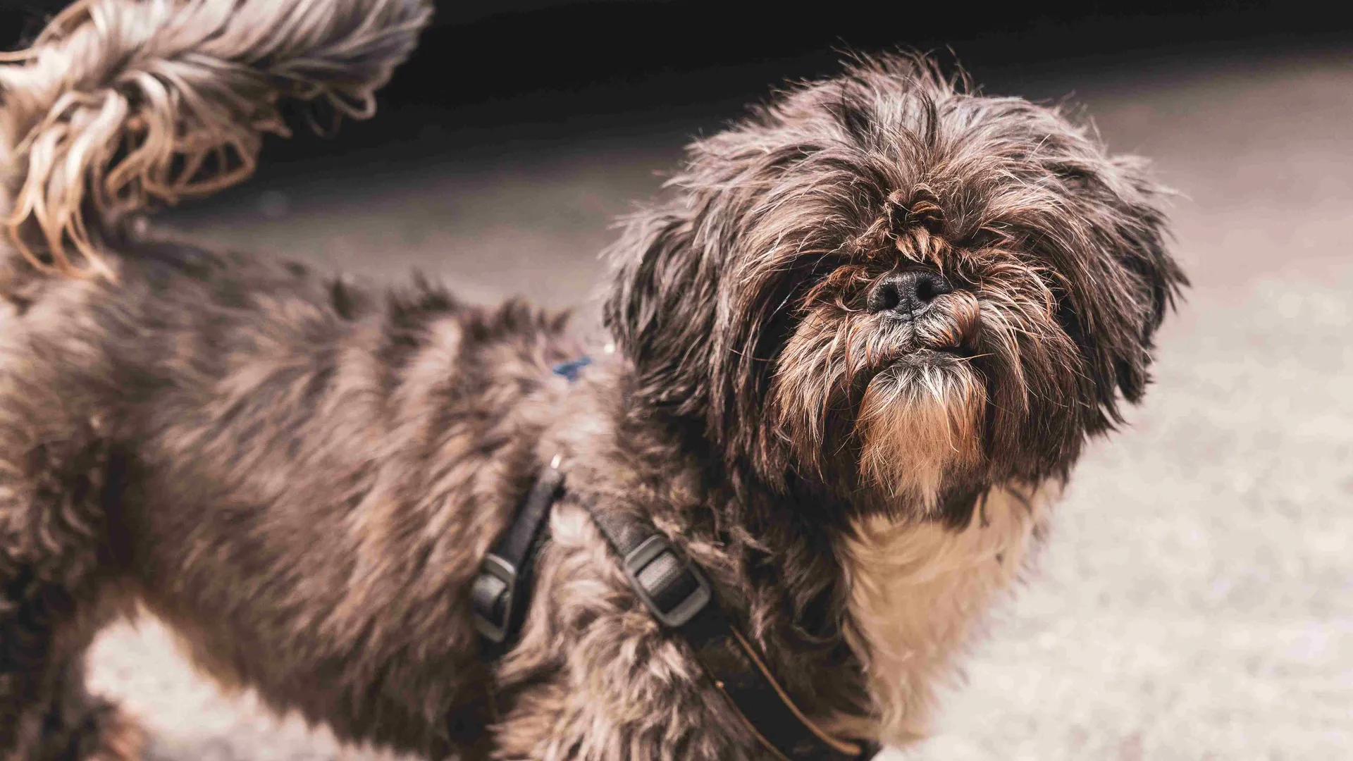 Фото: Наталия Надточая