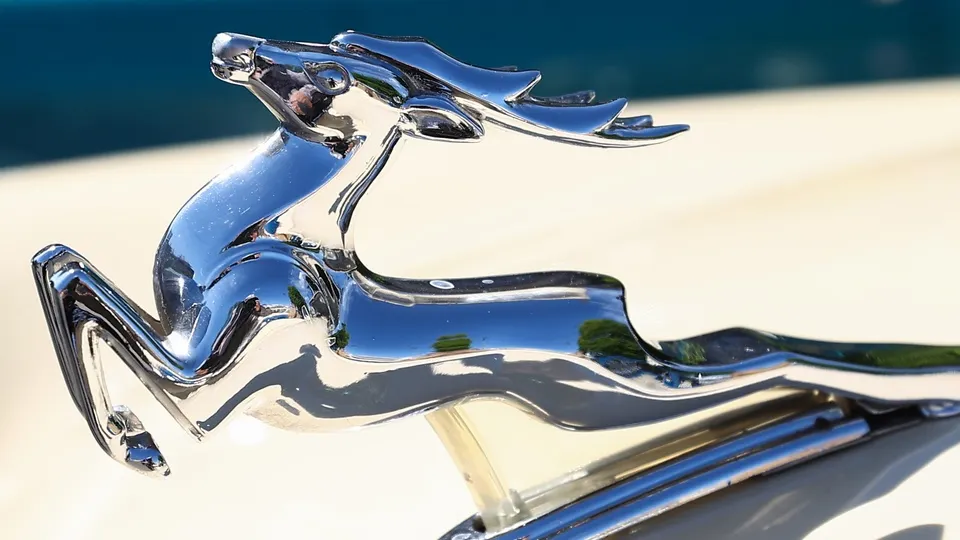 Фото: ТАСС/Артем Геодакян