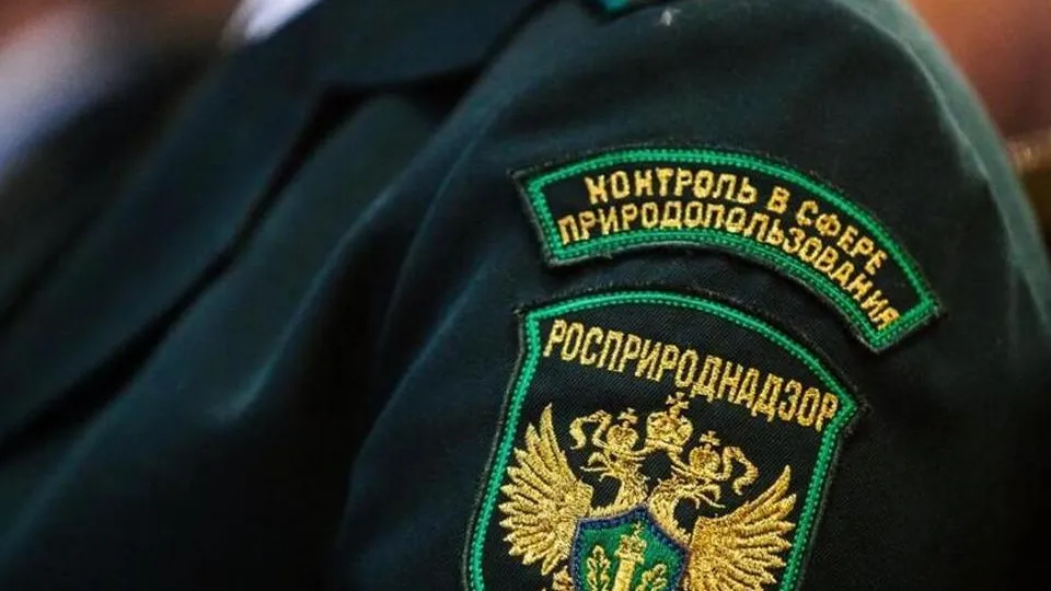Фото: официальный сайт Росприроднадзора