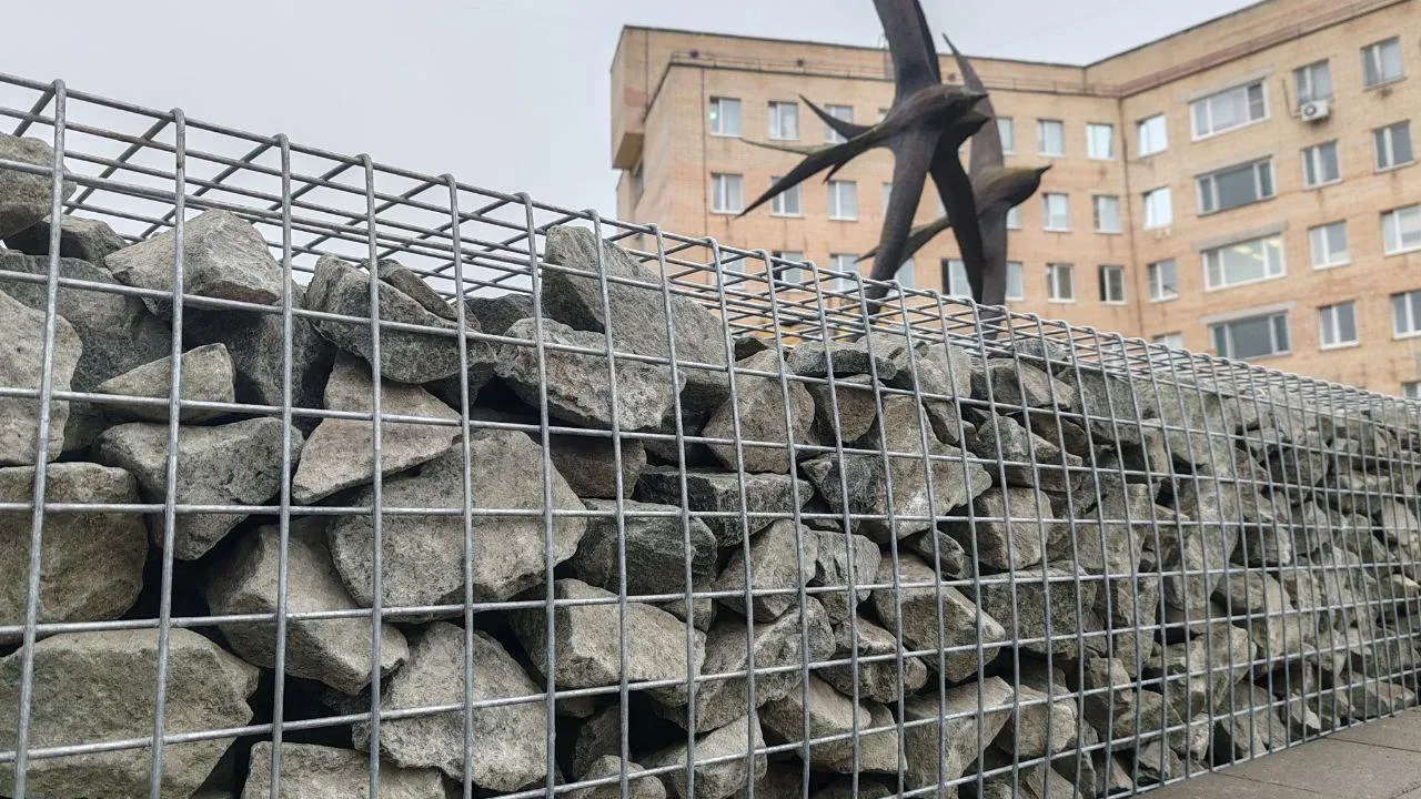 Фото: пресс-служба администрации г.о. Черноголовка