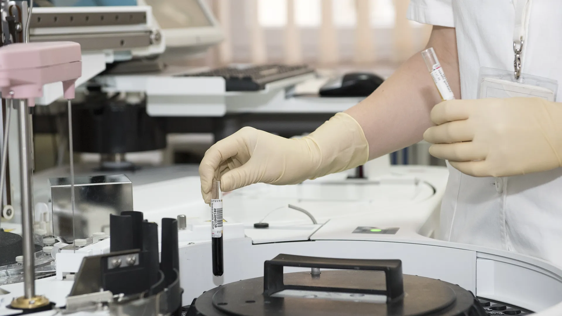 Фото: pxhere.com