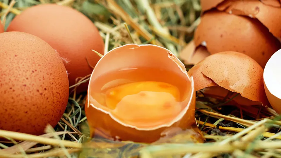 Фото: pxhere.com