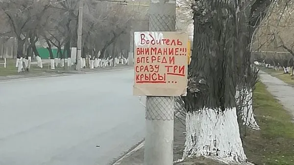 Александра Черкасова, «Инцидент. Курган», «ВКонтакте»