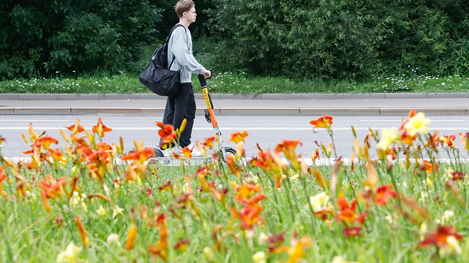 Фото: ТАСС/Михаил Синицын