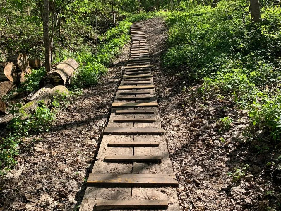 Фото: МедиаБанк Подмосковья/Хавива Фонина