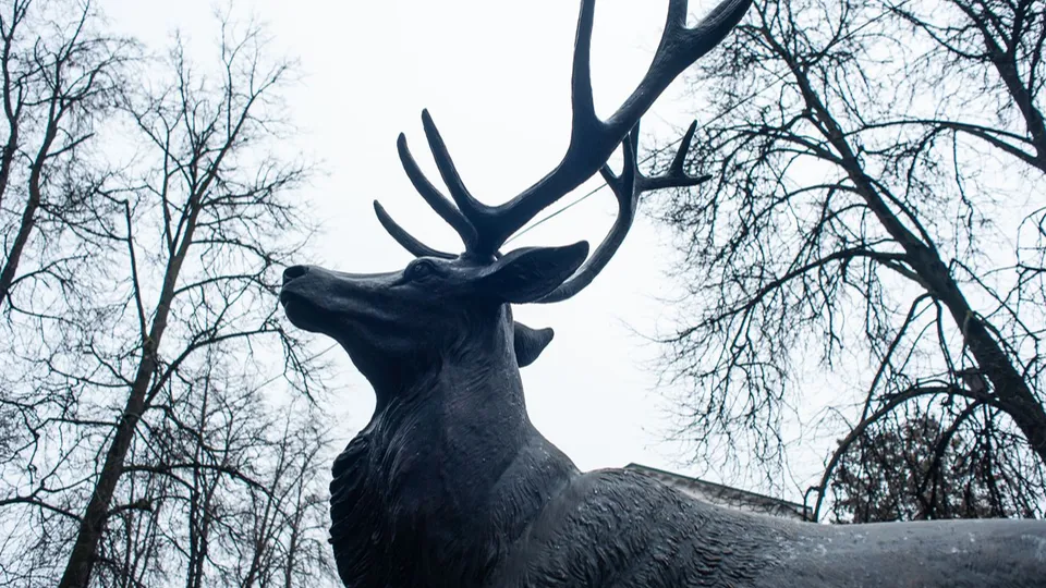 Фото: медиасток.рф