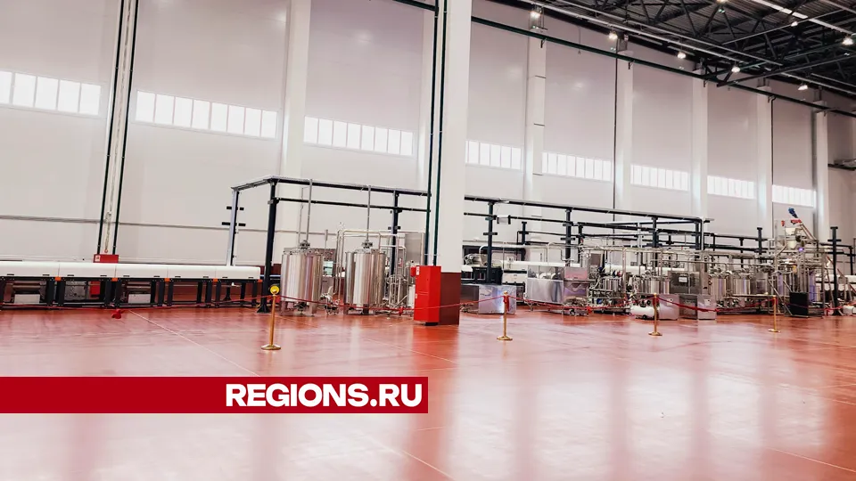 Фото: Юлия Андросова