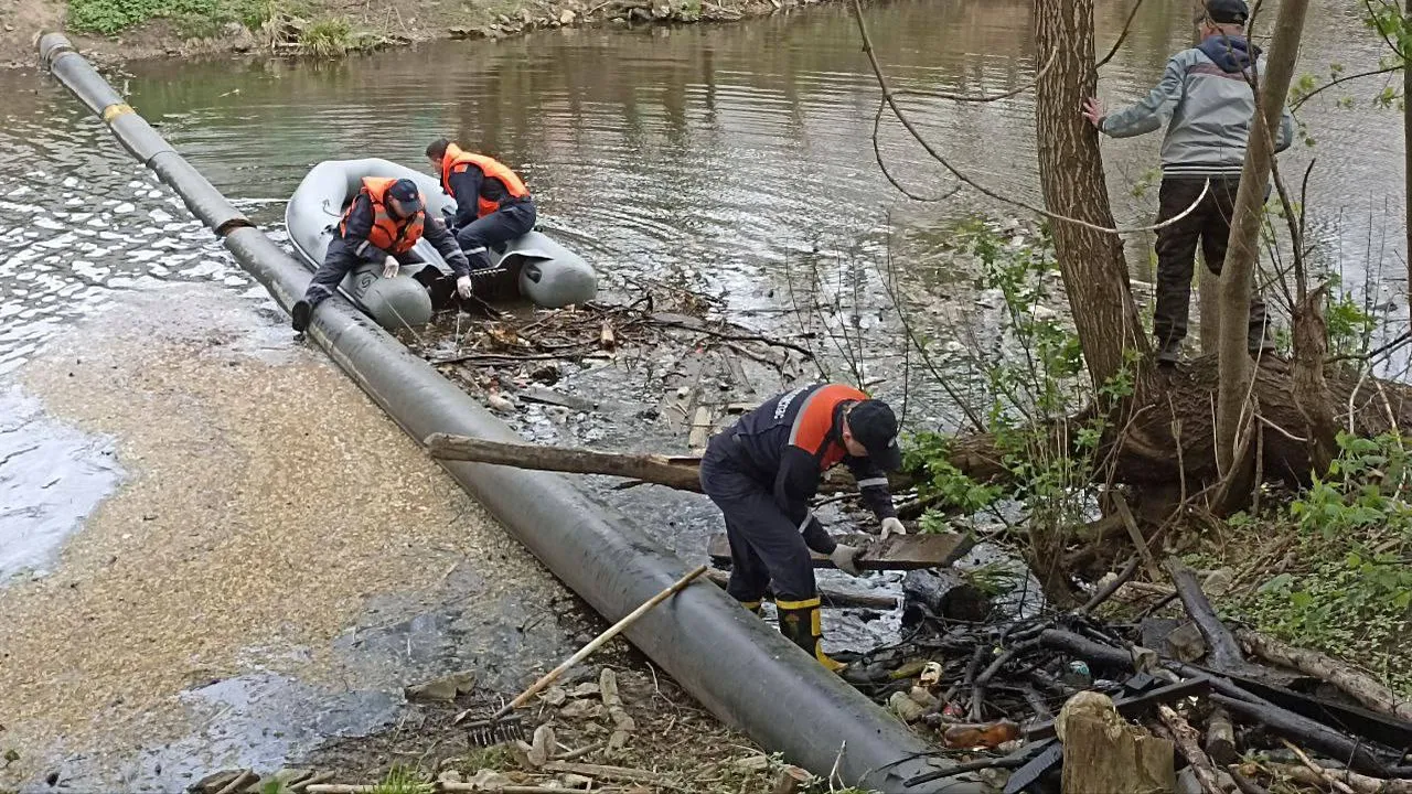 Фото: REGIONS/Василий Тремасов