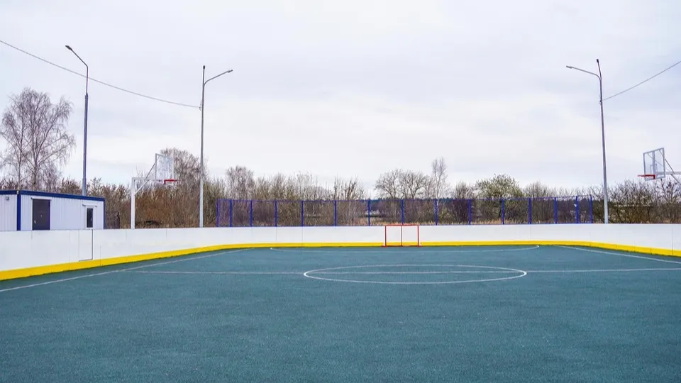 Фото: Раменский медиацентр