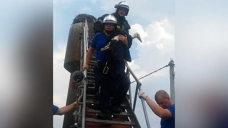Тайгу от холодной смерти спасли в Подмосковье