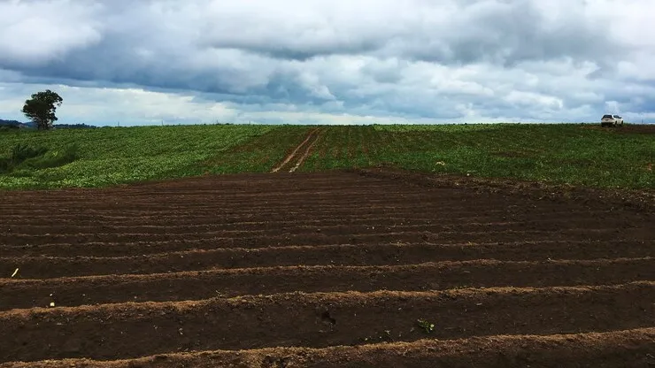 Фото: freepik.com