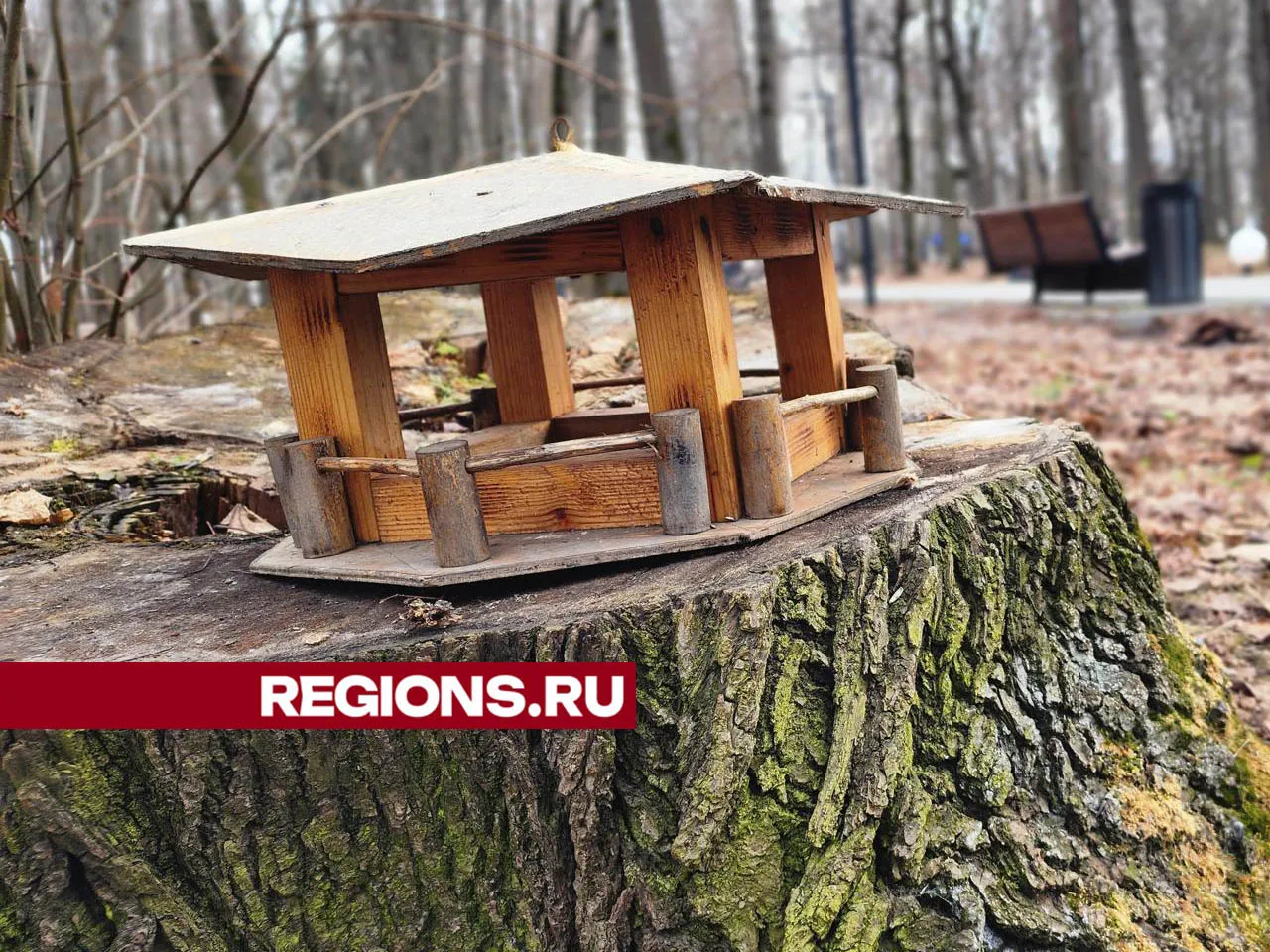 Фото: Валерия Тингаева