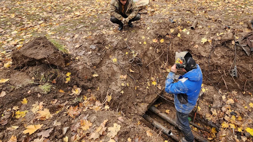 Фото: МедиаБанк Подмосковья/Дмитрий Алексеенко
