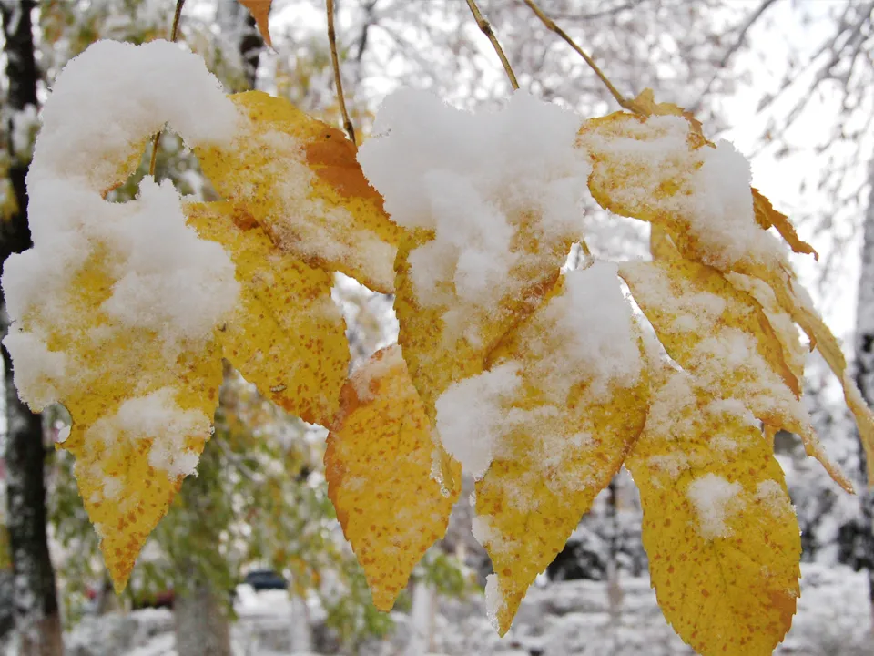 Фото: Сергей Демянюк<br>