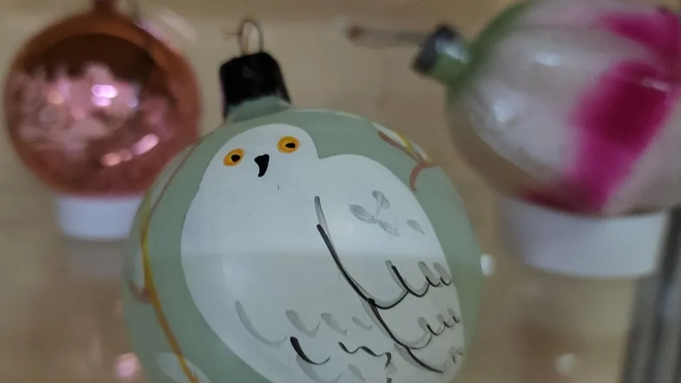 Фото: Ольга Сычева