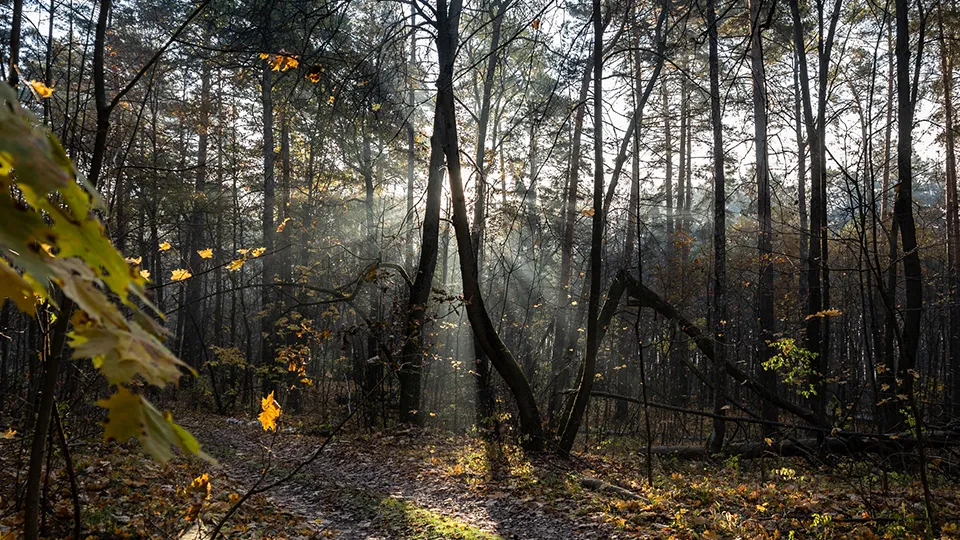 Фото: Антон Кондратюк