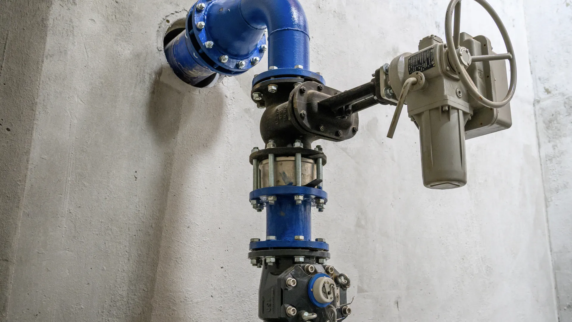 Фото: медиасток.рф