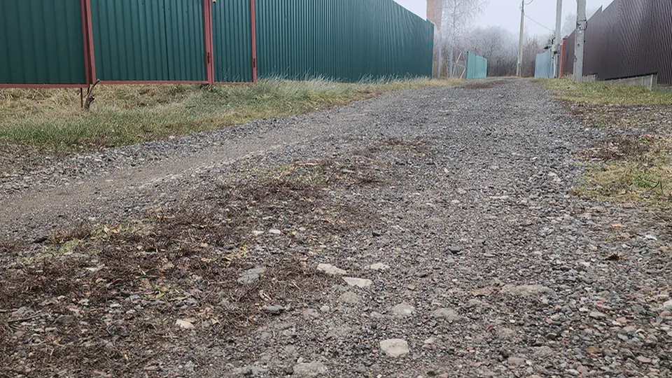 Фото: МедиаБанк Подмосковья/Иван Дубров