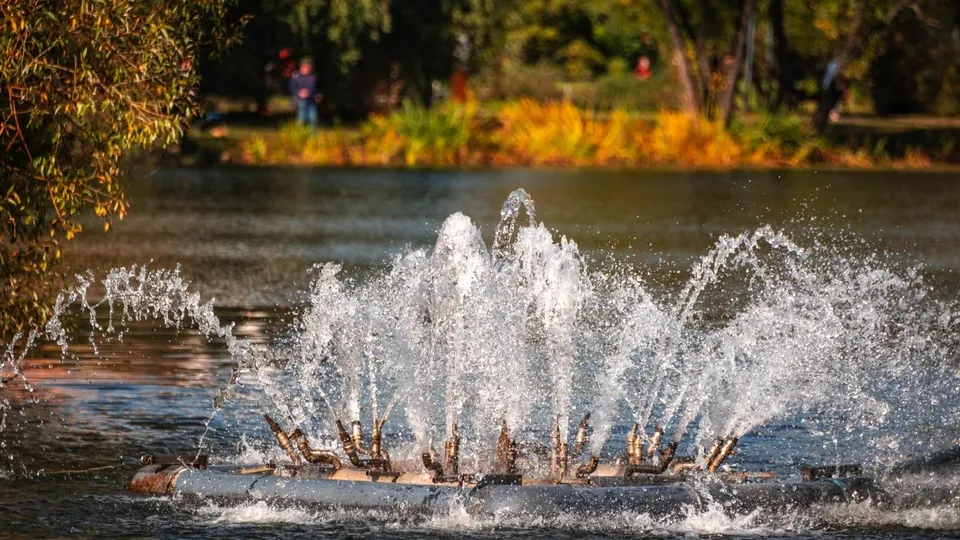 Фото: пресс-служба Администрации г.о. Реутов