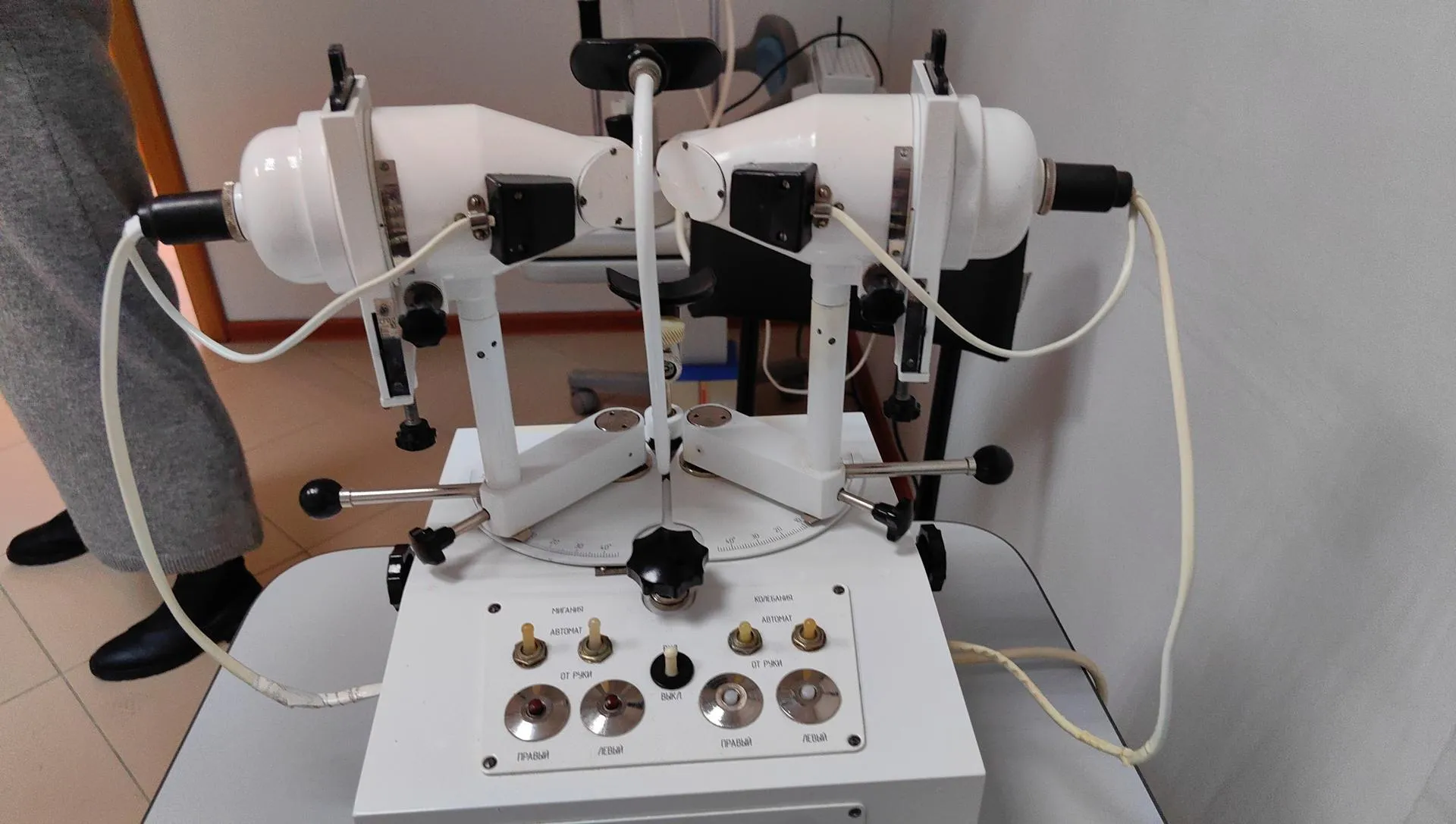 Елена Катасонова