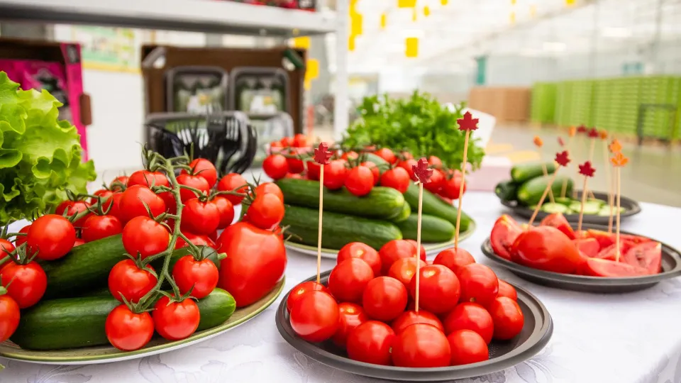 Фото: пресс-служба городского округа Кашира