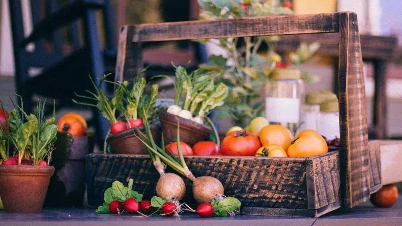 Три с половиной тонны овощей и фруктов продали на «Ценопаде» в Чехове