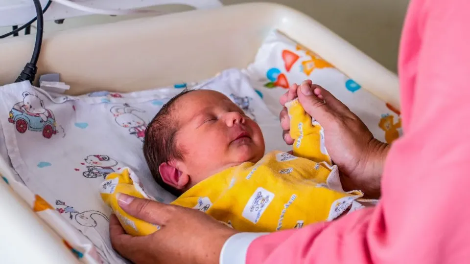 Фото: пресс-служба губернатора и правительства Московской области/Александра Степанова