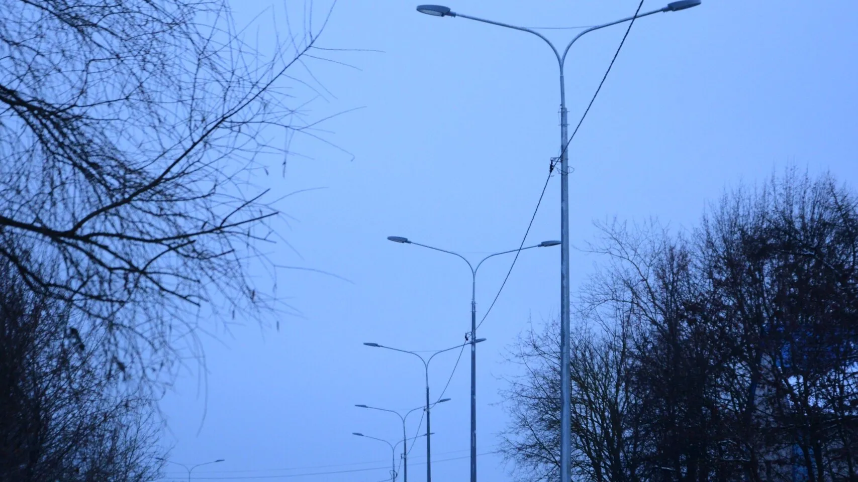 Фото: администрация Наро-Фоминского округа