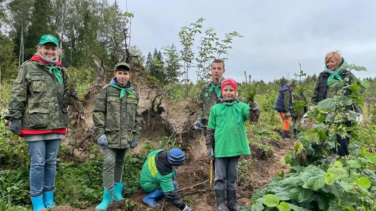 Фото: Посадка леса вблизи деревни Блазново / пресс-служба АМГО