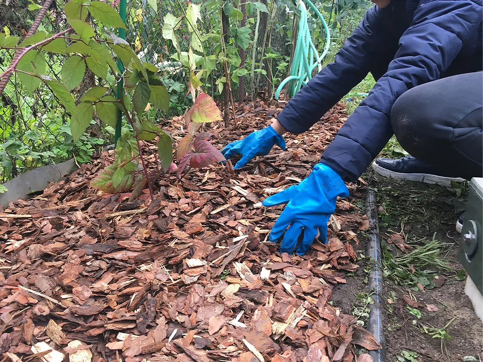 Фото: istockphoto.com/Daria Soldatkina