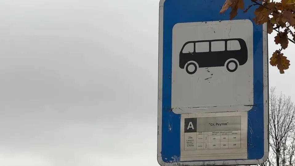 Фото: МедиаБанк Подмосковья/Ксения Казакова