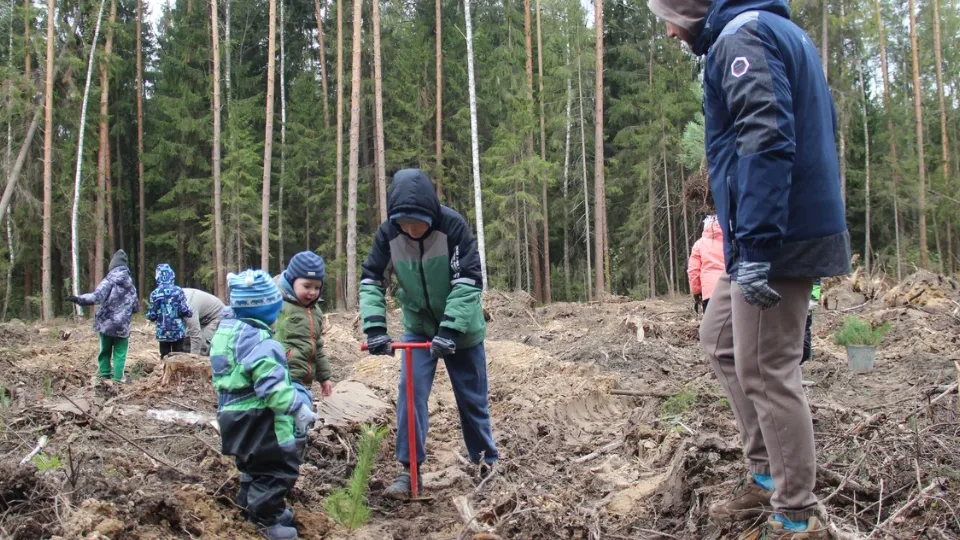Фото: REGIONS/Василий Тремасов