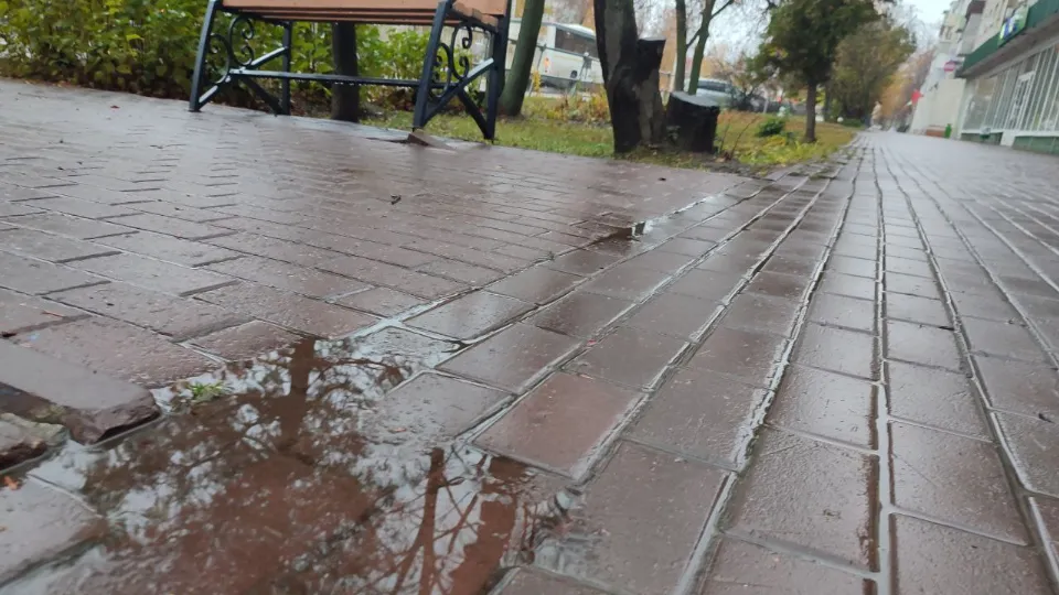 Фото: REGIONS/Елена Забелина