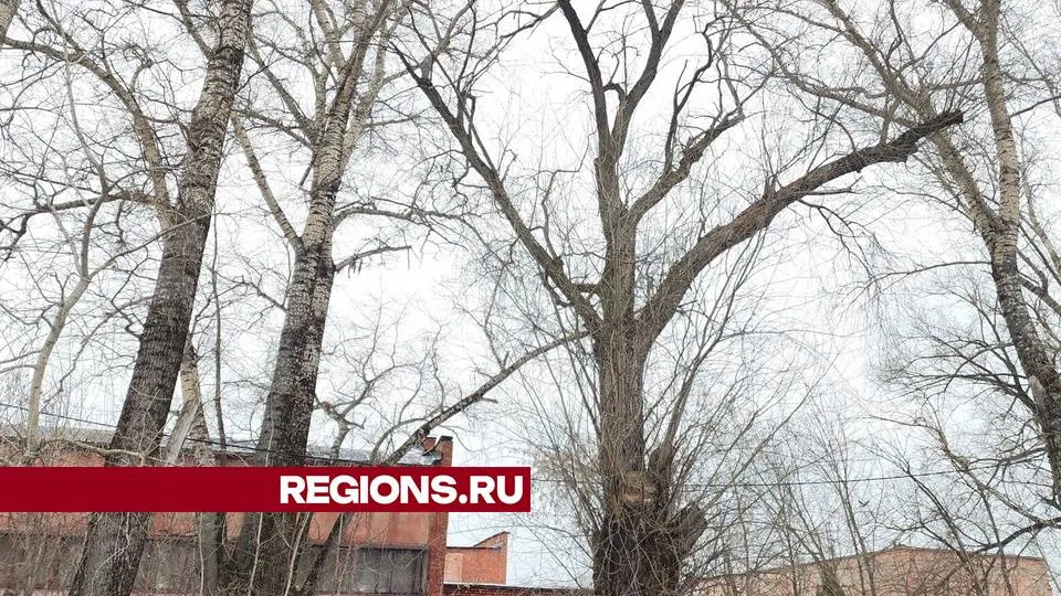 Фото: Ольга Сычева