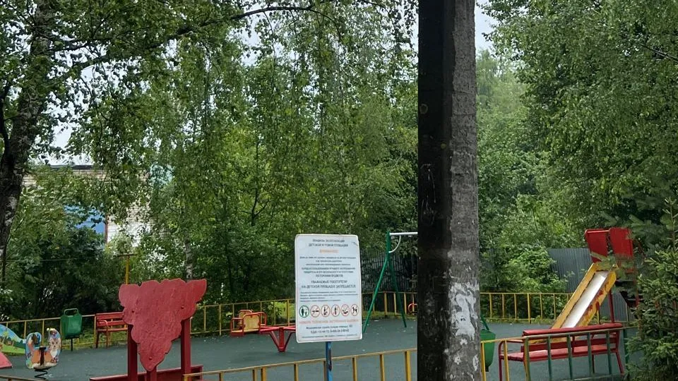 Фото: пресс-служба администрации Наро-Фоминского г.о.