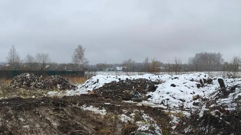 Фото: министерство экологии и природопользования Московской области